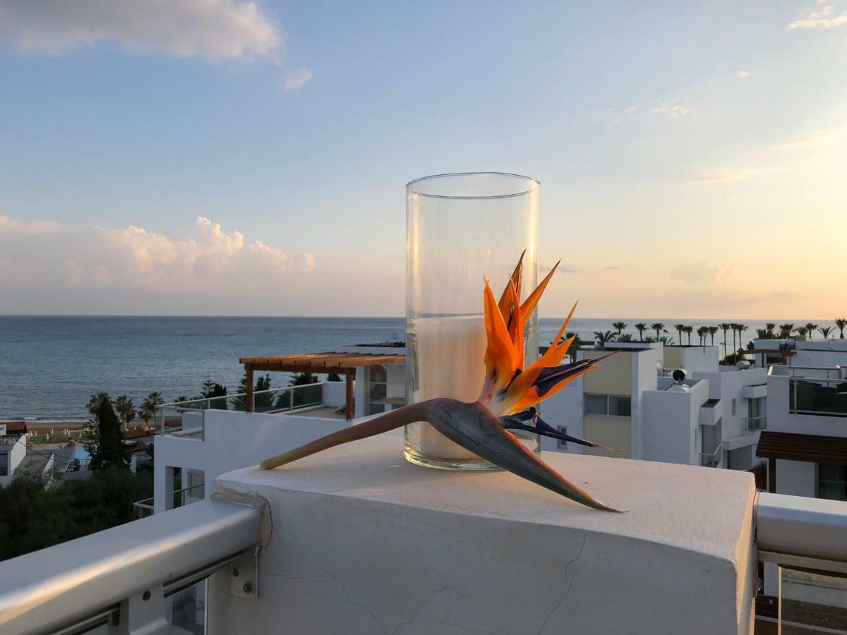 Marina View Villa 11 Пейя Экстерьер фото